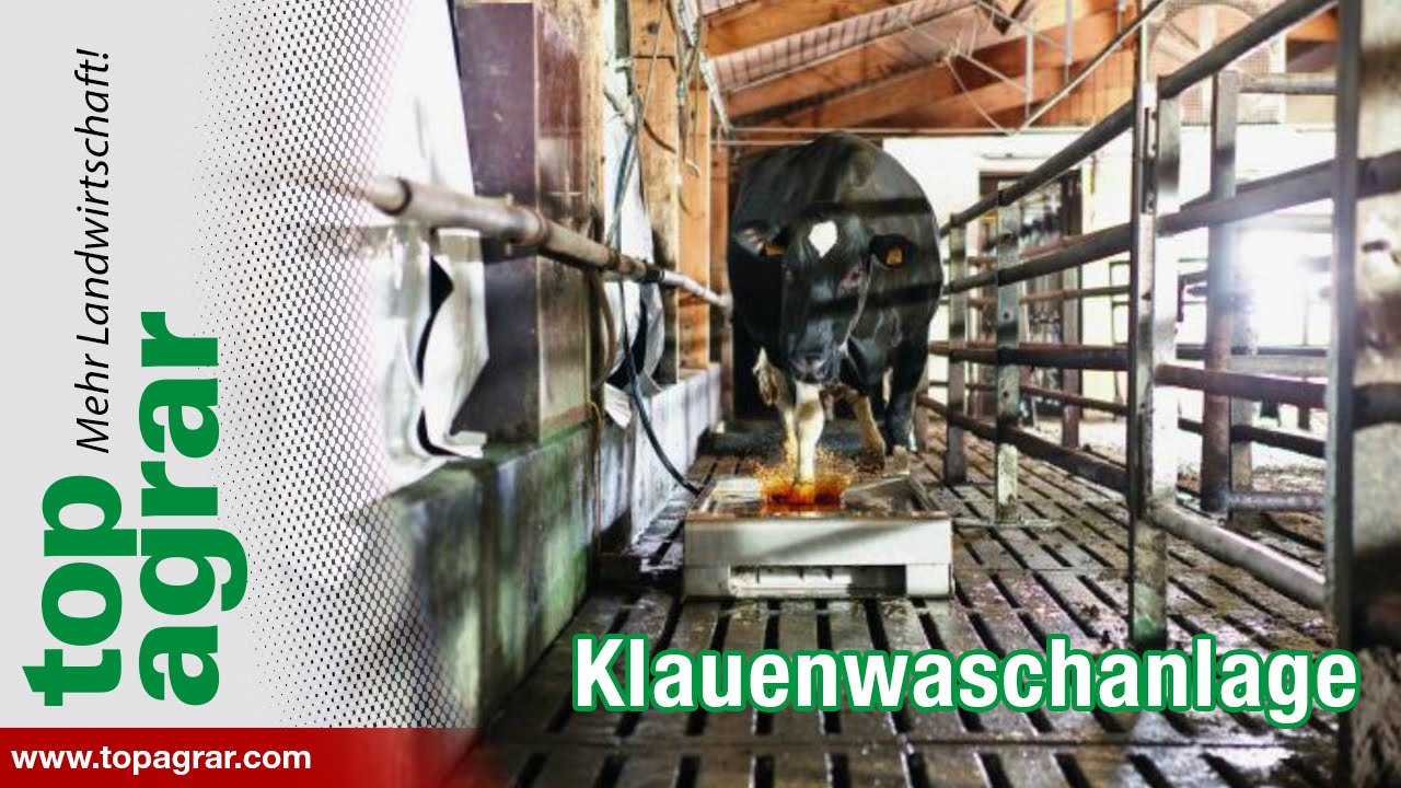 top agrar &uuml;ber eine Klauenwaschanlage f&uuml;r K&uuml;he