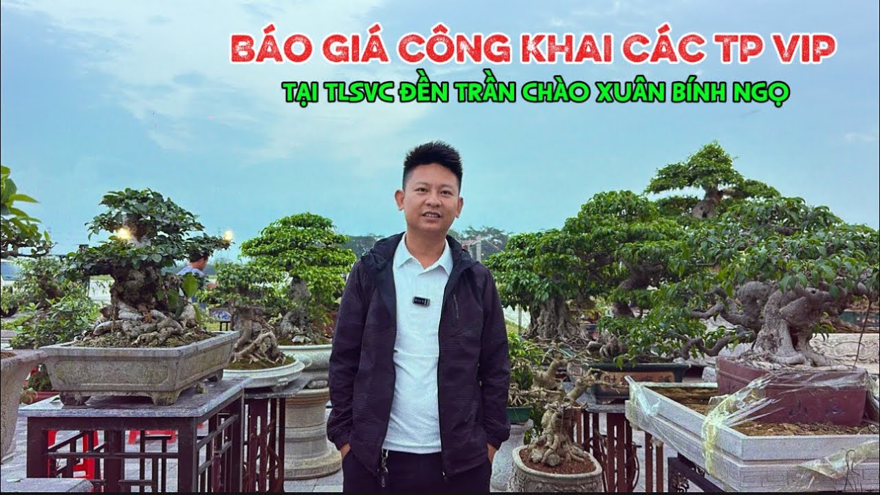 BÁO GIÁ CÔNG KHAI các tác phẩn đẹp tại khu TM TLSVC Đền trần | Quảng Tùng