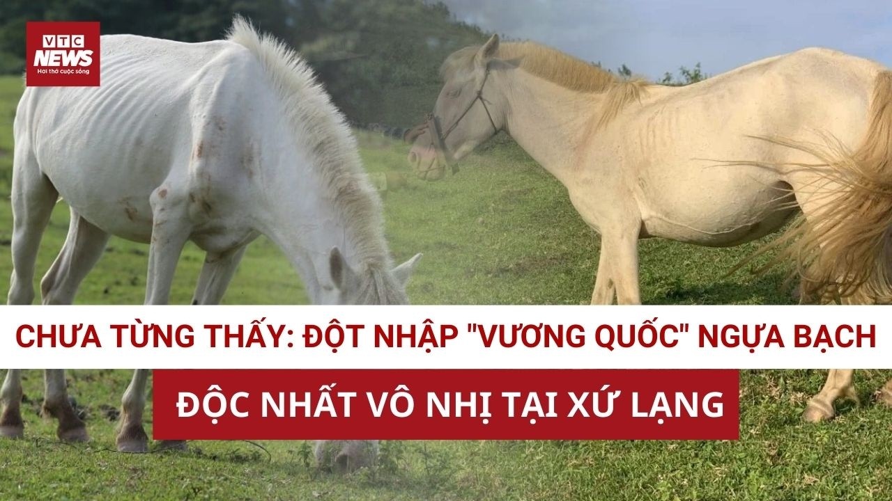 “Vương quốc