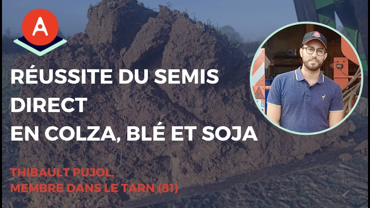 Tour de plaine #3 : Réussite du semis direct en colza, blé et soja