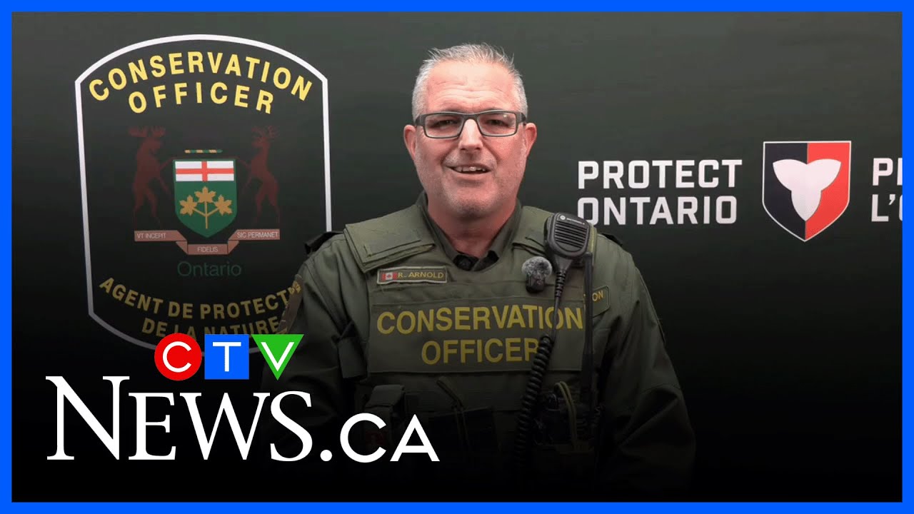 Three Americans fined $27,500 for illegal Ontario moose hunt