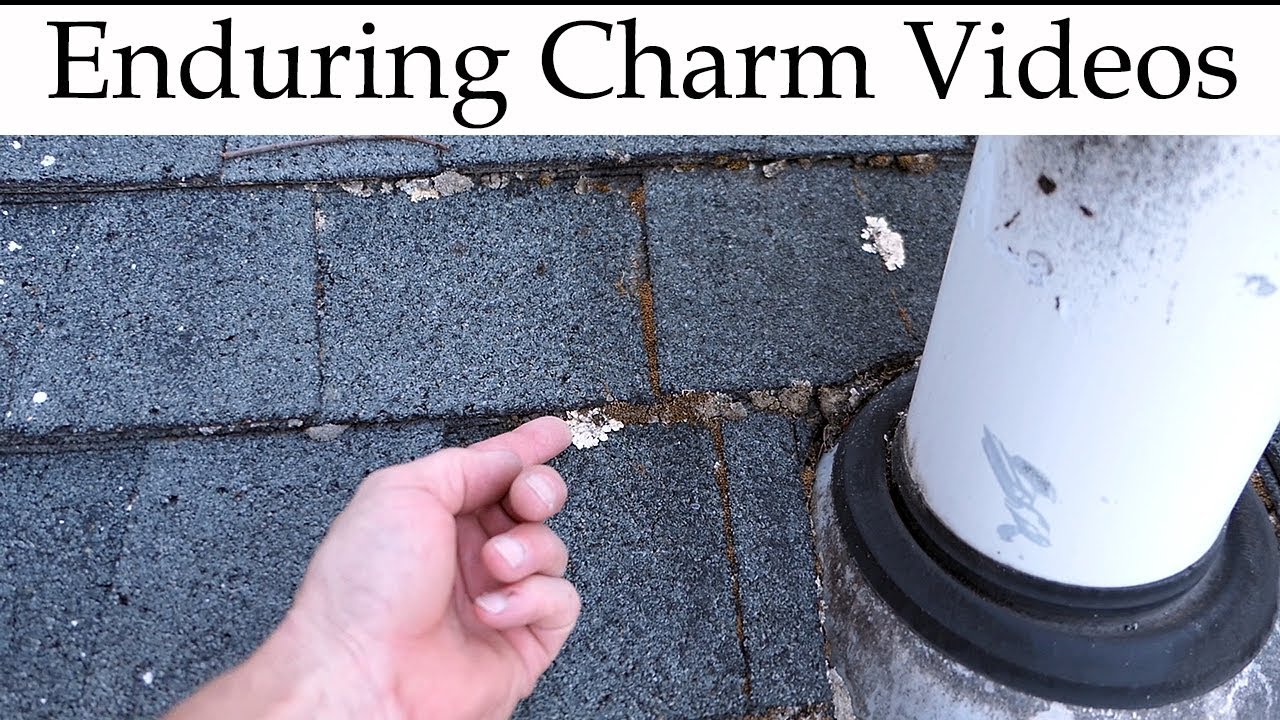 This Really Worked To End Lichen And Moss!