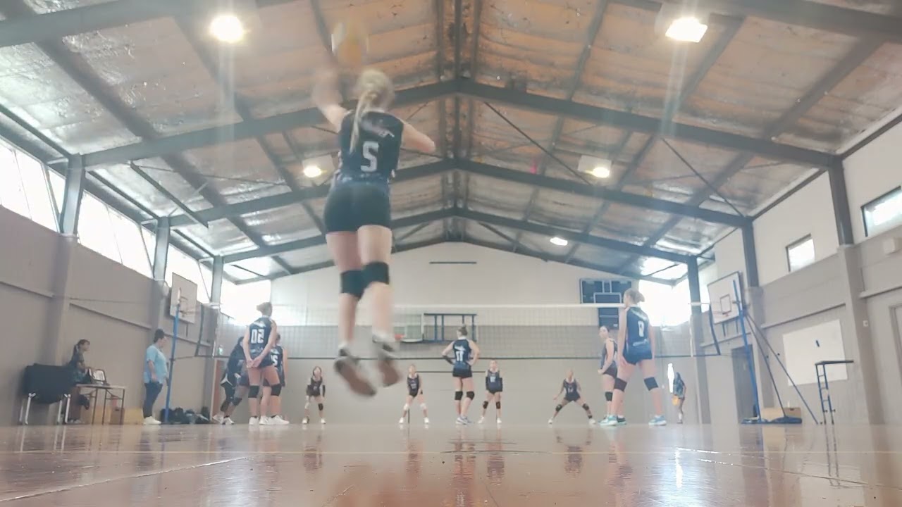 Westies vs Falcons part 2