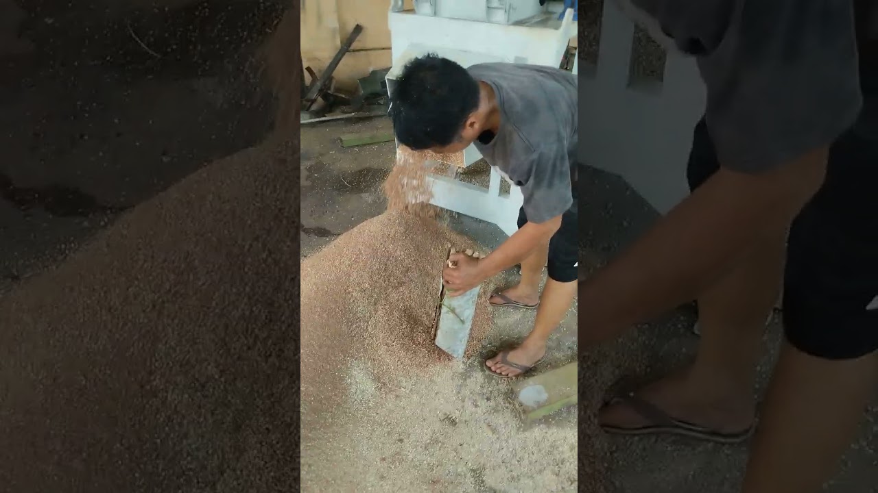 mesin serbuk kayu #sawdust  #woodchips #woodpellet #serbukkayu