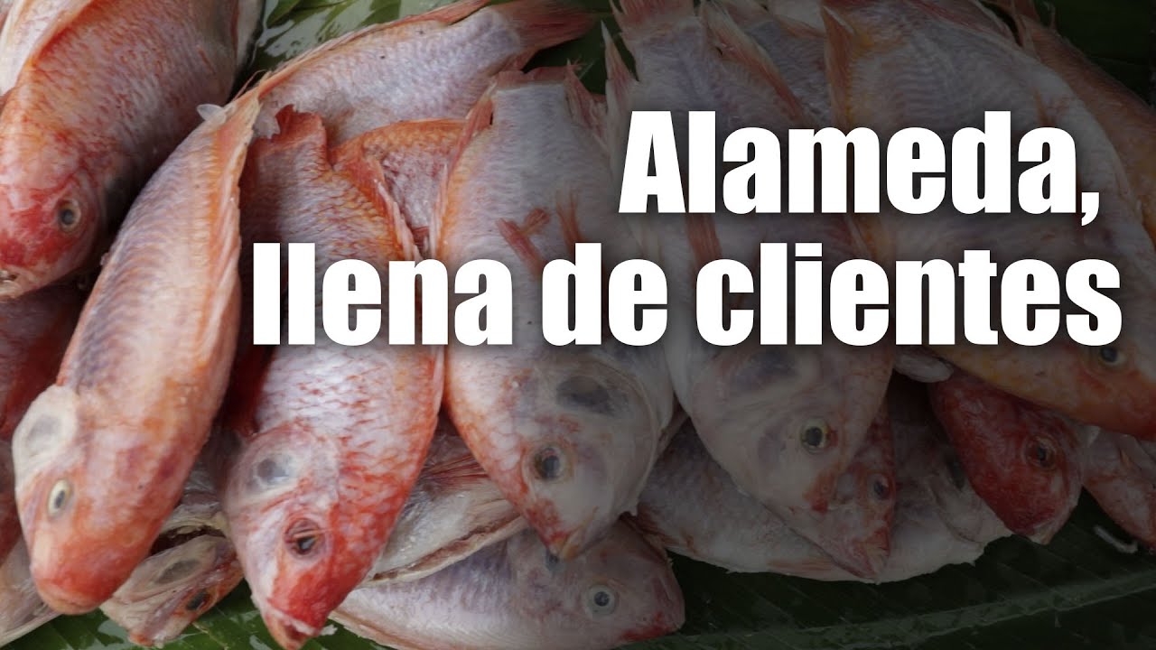 Las ventas se triplican: vendedores de mariscos de la Alameda viven su mejor momento en Semana Santa
