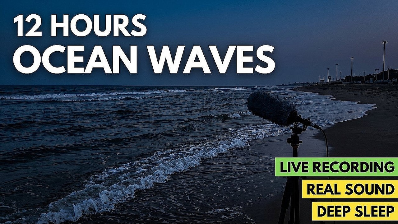 Ocean Waves 12 Hours | Black Screen Beach Sounds for Sleep | Marina Beach, India