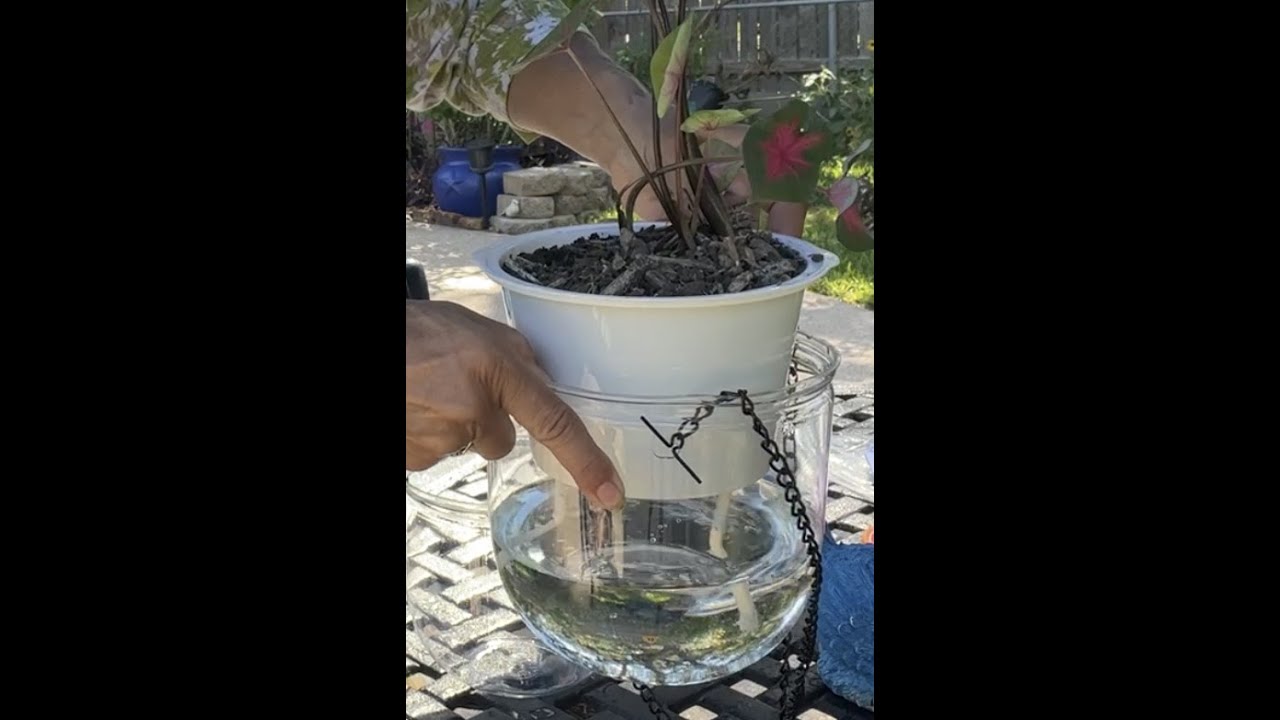 Self Watering Hanging Planters 2 pack