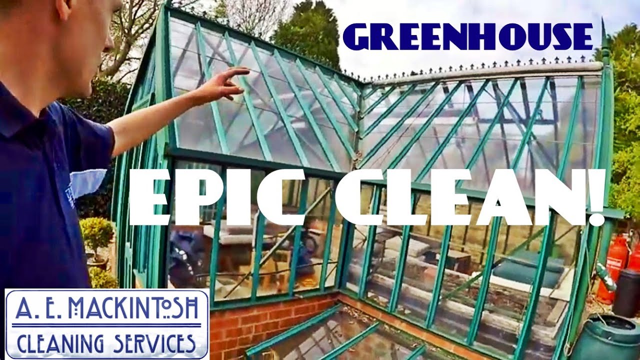 Epic Cleaning - A Greenhouse Inside And Out!