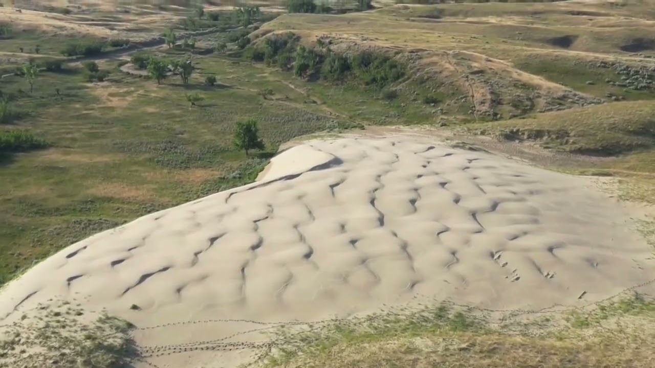 The Great Sandhills of southwestern Saskatchewan 