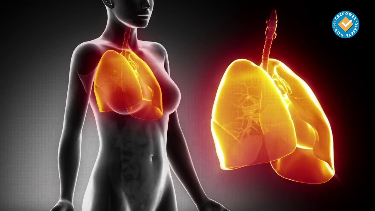 Всичко за кашлицата