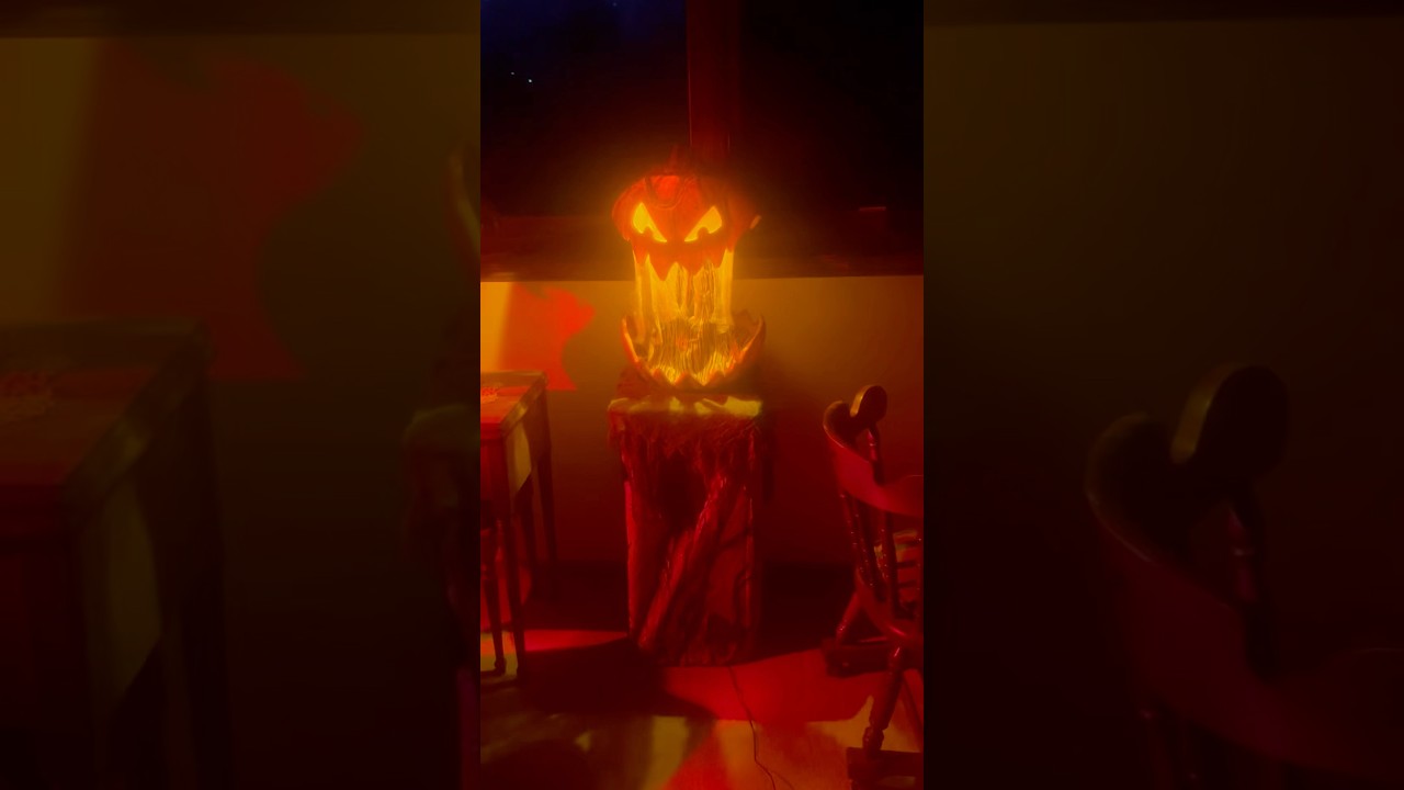 Gourdo timelaps video #halloween #timelapse  #spirithalloween