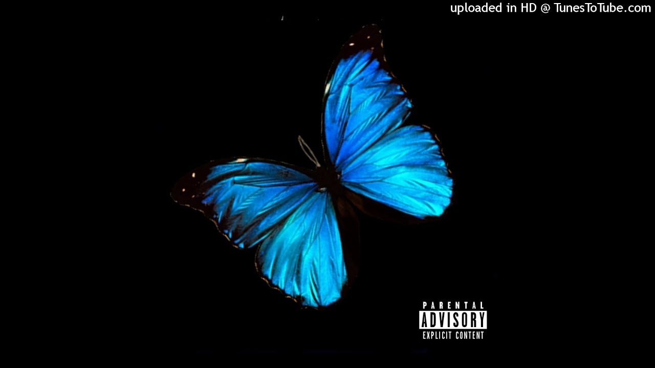 Walter Vargas - Butterfly