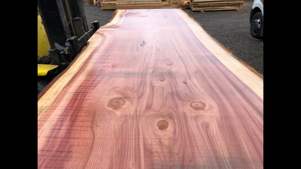 Amazing Giant Sequoia slabs!!!