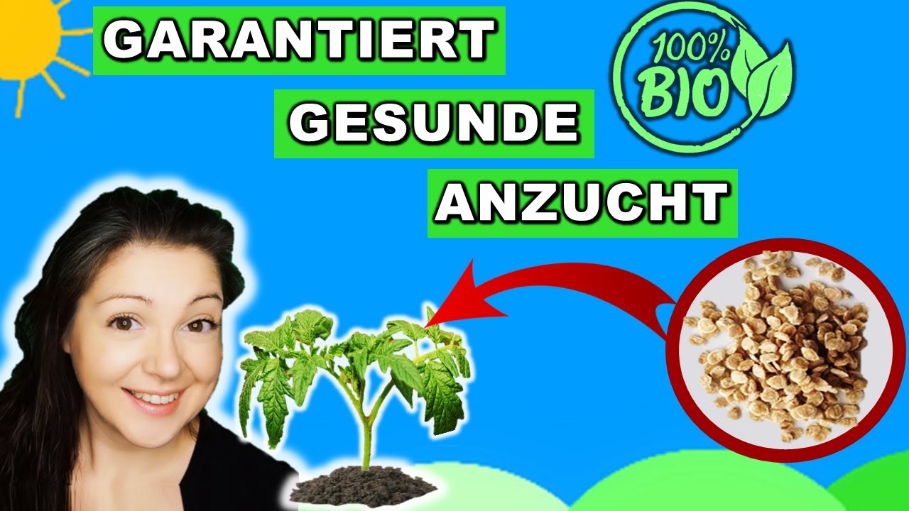 14 Pflanzenkrankheiten bekämpfen -  Trichoderma harzianum und Bacillus subtilis
