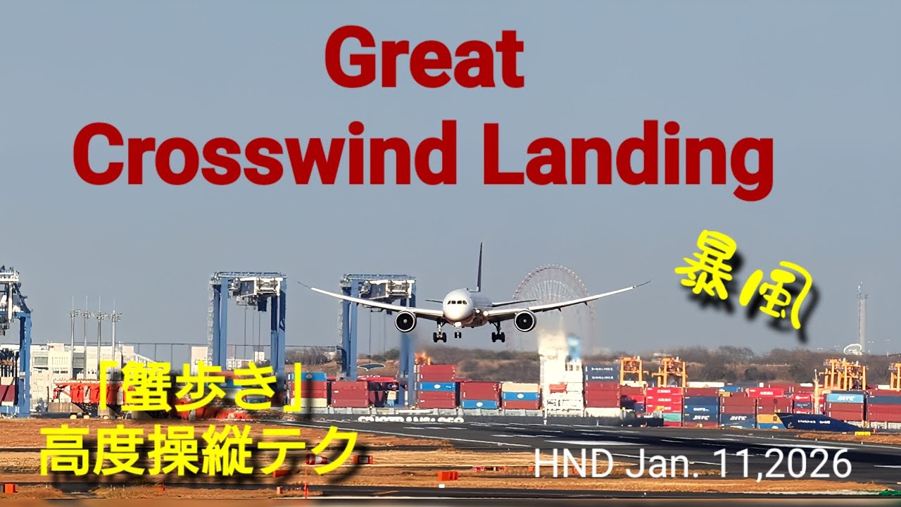 【4K】Great Crosswind Landing