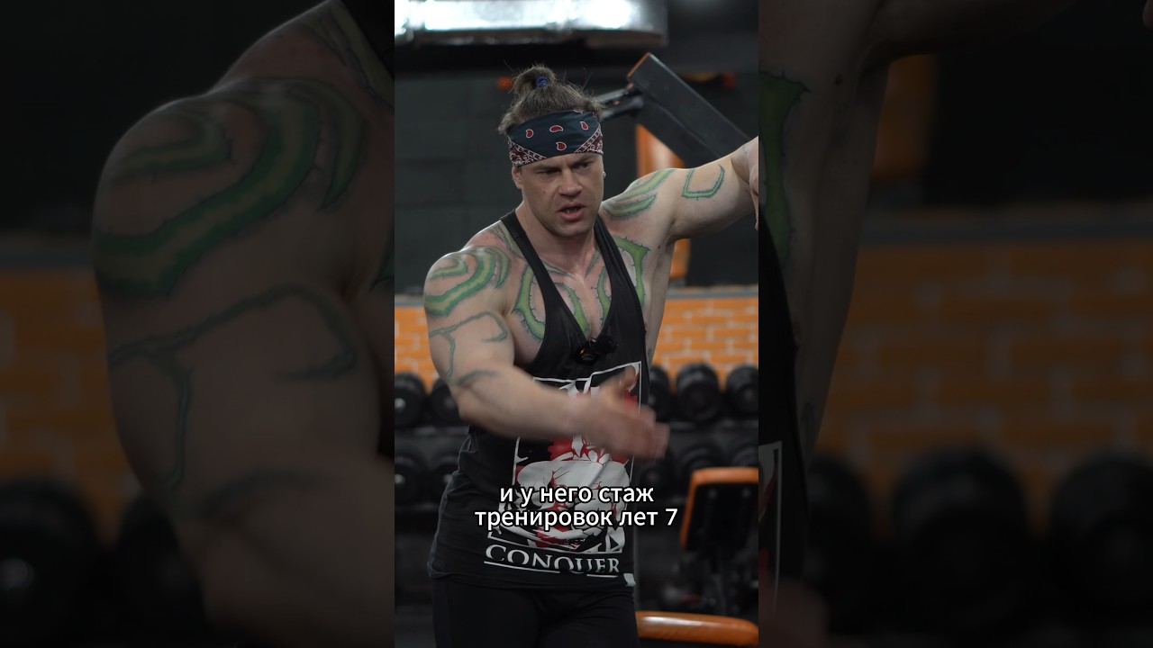 Лучшая программа тренировок #юмор #качалка #спорт #фитнесмифы