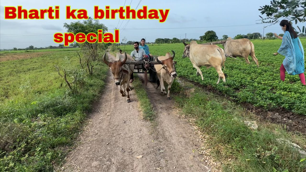 Ramde kaha leke ja raha hai ajj  बैलगाड़ी me muje #bullockcartvideo