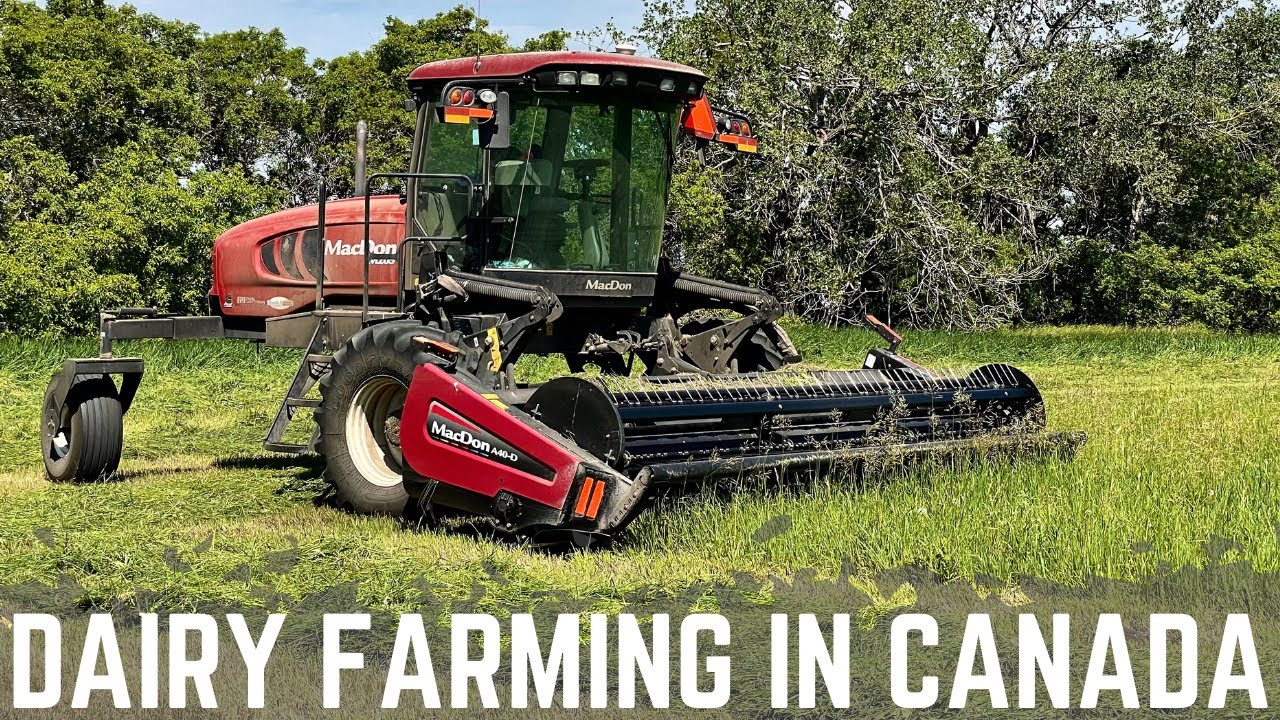 Header Swap And Cutting Hay!