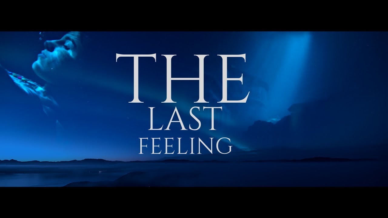 Sofia Charaf | The Last Feeling
