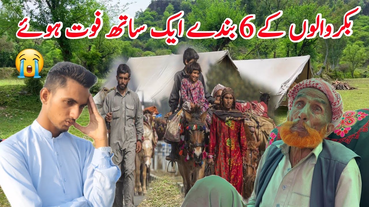 6 servants of Bakarwals died together|Apna Kashmir|Azad Kashmir Earthquake