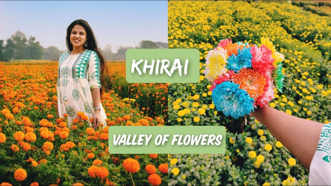 Khirai Flowers valley - One day tour from Kolkata  || VALLEY OF FLOWERS || KOLKATA TO KHIRAI