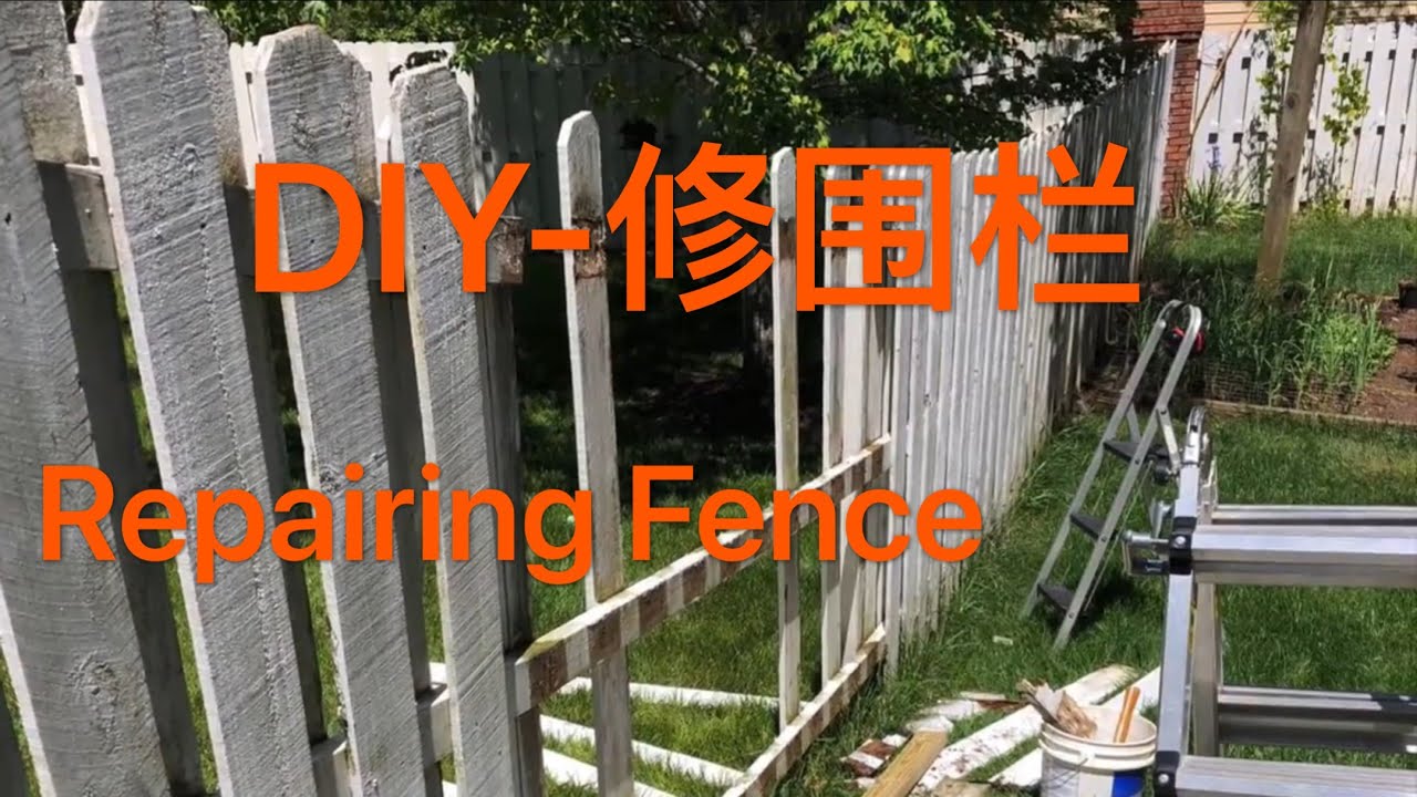 DIY- 修围栏（Repairing fence)
