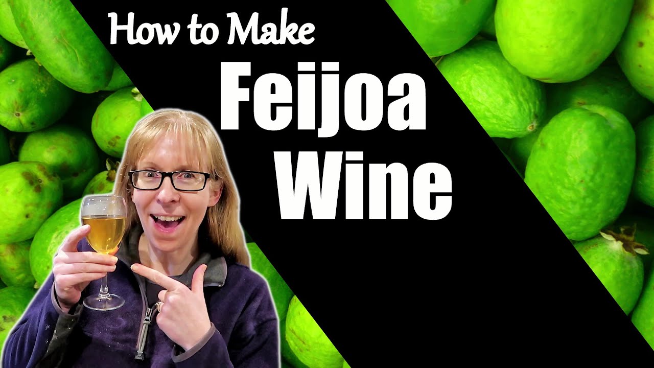 How to Make Feijoa Wine / Feijoa Wine Recipe