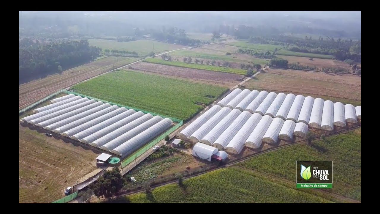 Maracujá, fruto rei na exploração da Tropikcourtesy