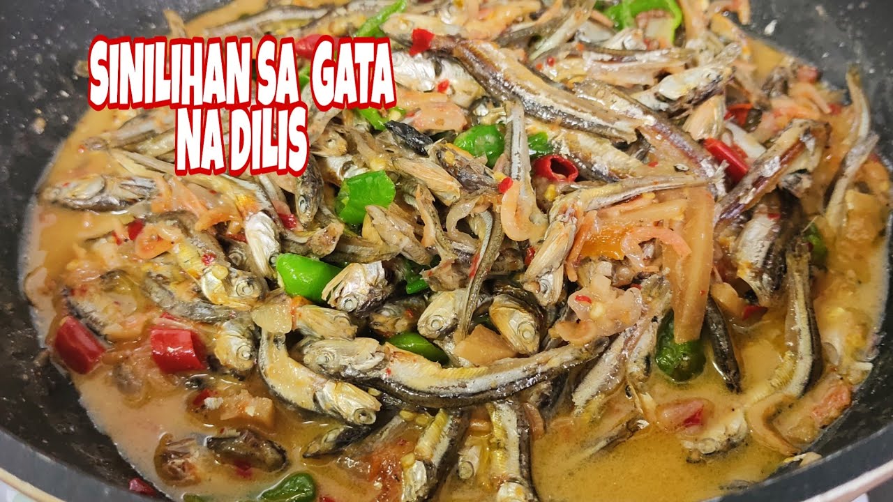 SINILIHAN SA GATA NA DILIS RECIPE |  ALA BICOL EXPRESS  |BUDGET ULAM | ASMR COOKING
