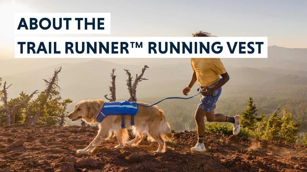 About the Trail Runner&trade; Dog Running Vest