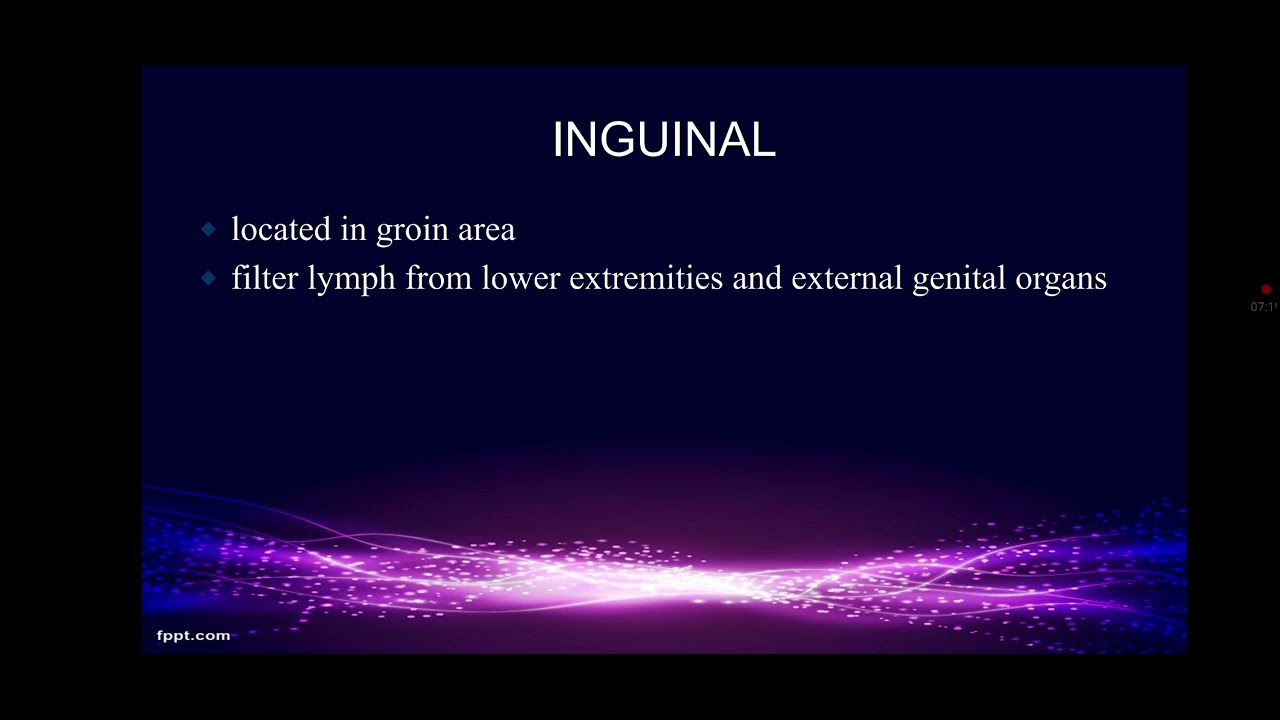 Topic:- Lymphatic system part-2