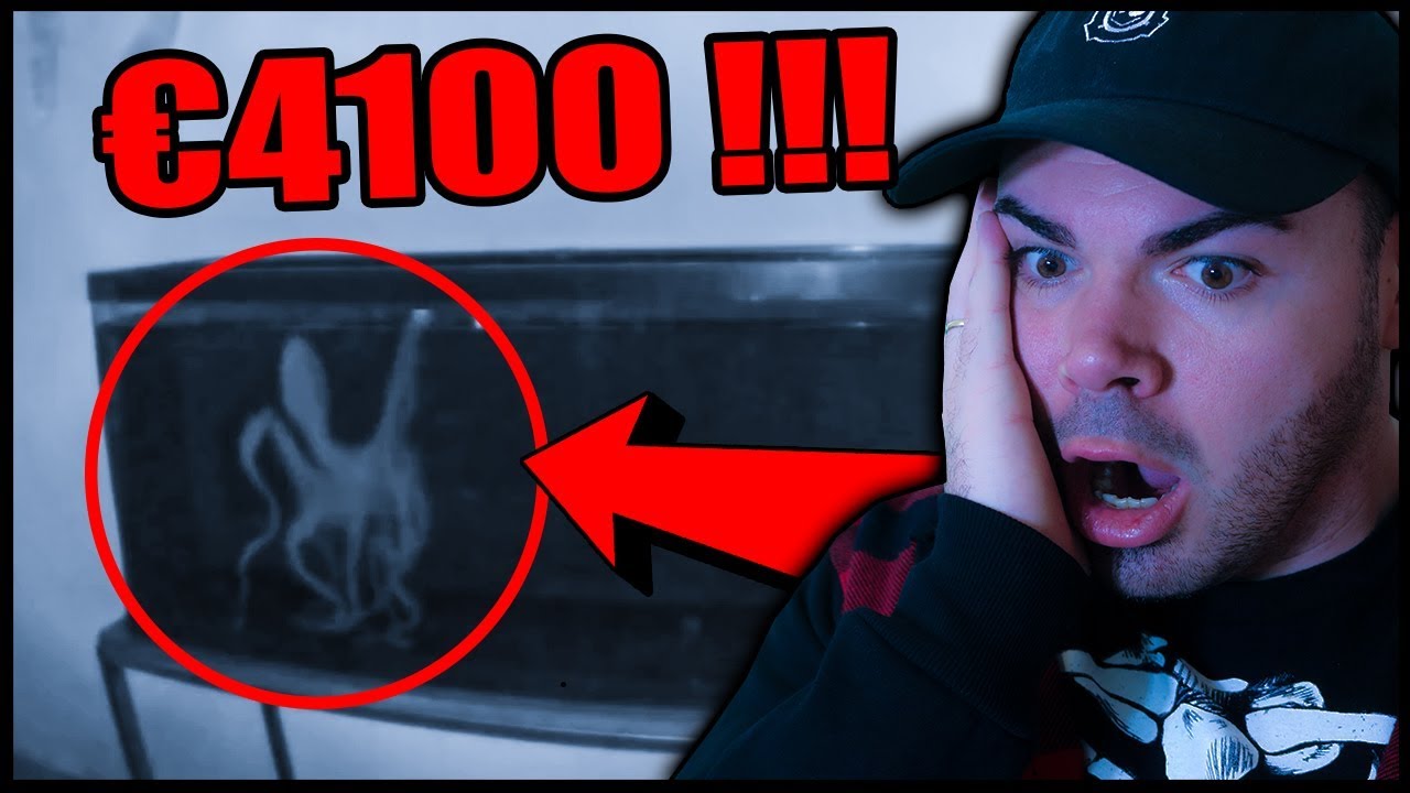 HO COMPRATO UN PESCE NEL DARK WEB *spaventoso* REACTION