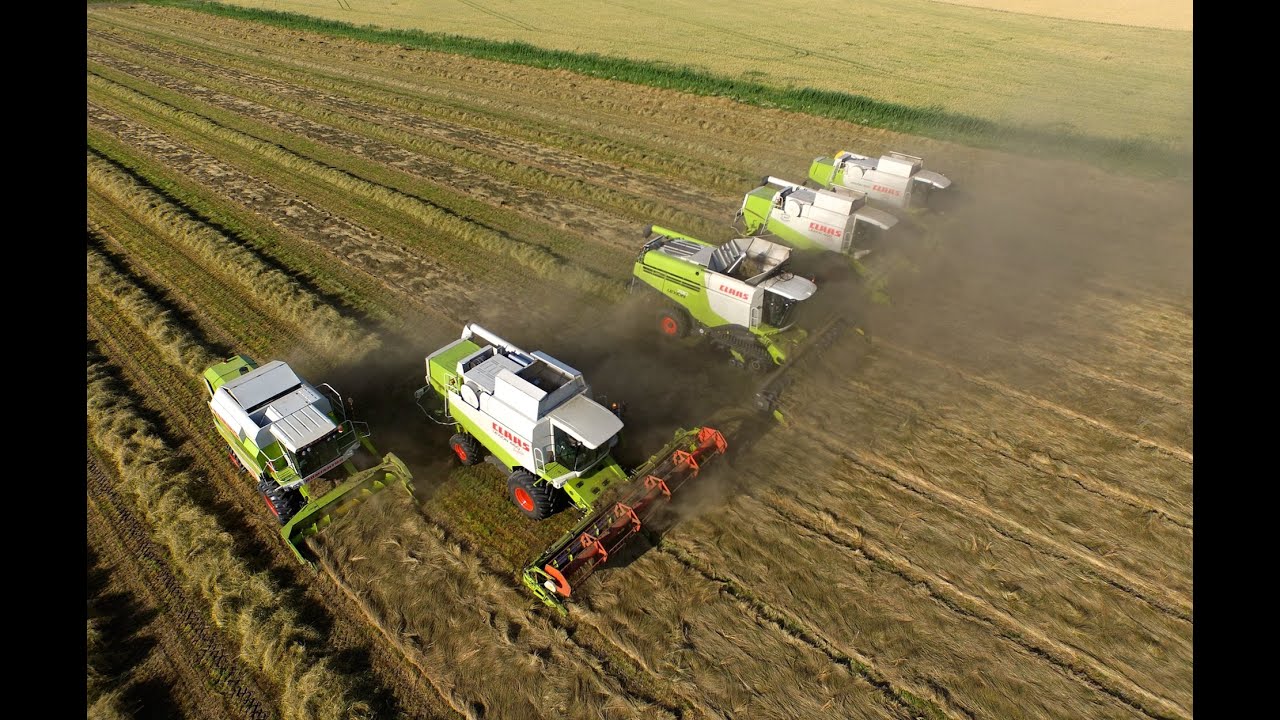 Grass Seed Harvest | Graszaad oogst 2015 | Veerman Goudswaard