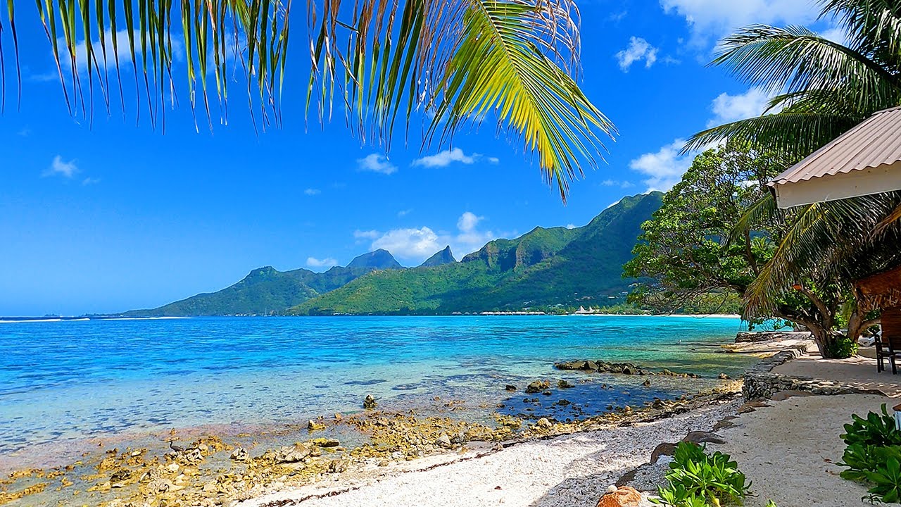 The Most Peaceful Tropical View in French Polynesia