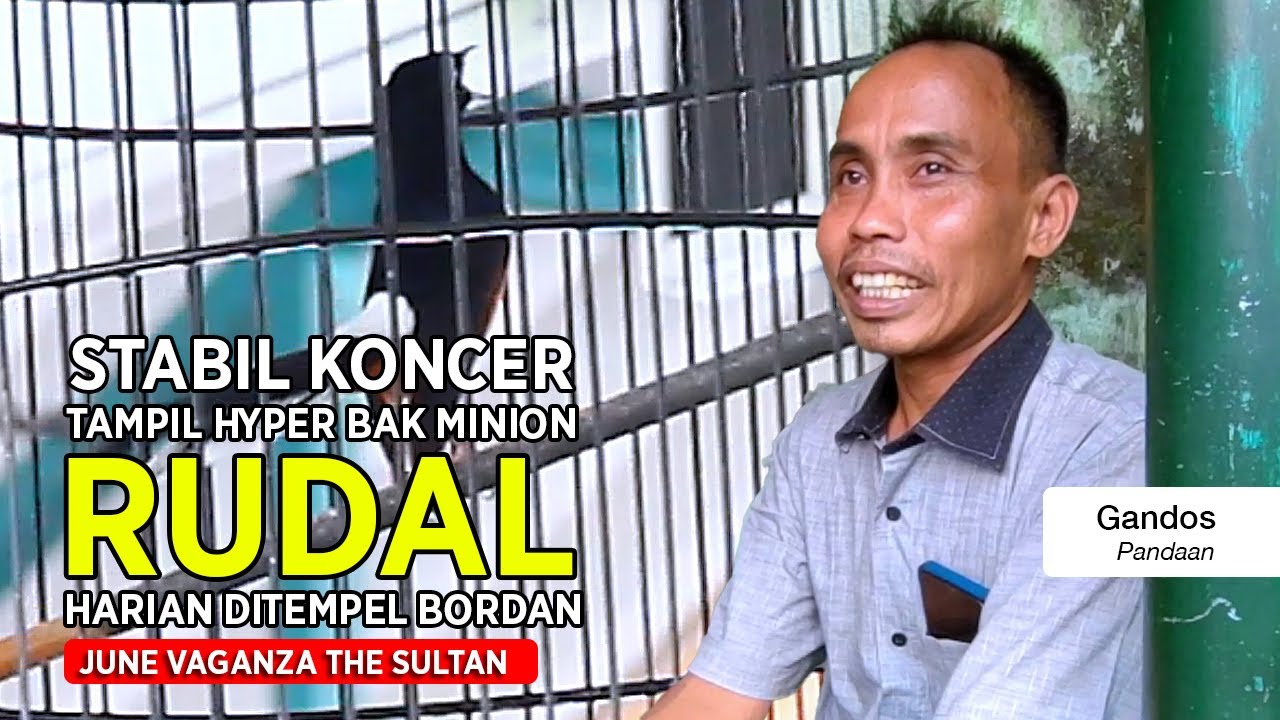 [ Murai Batu RUDAL ] Stabil Juara Karena Tampil Seperti Minon !! Kuncinya Harian Ditempel Bordan