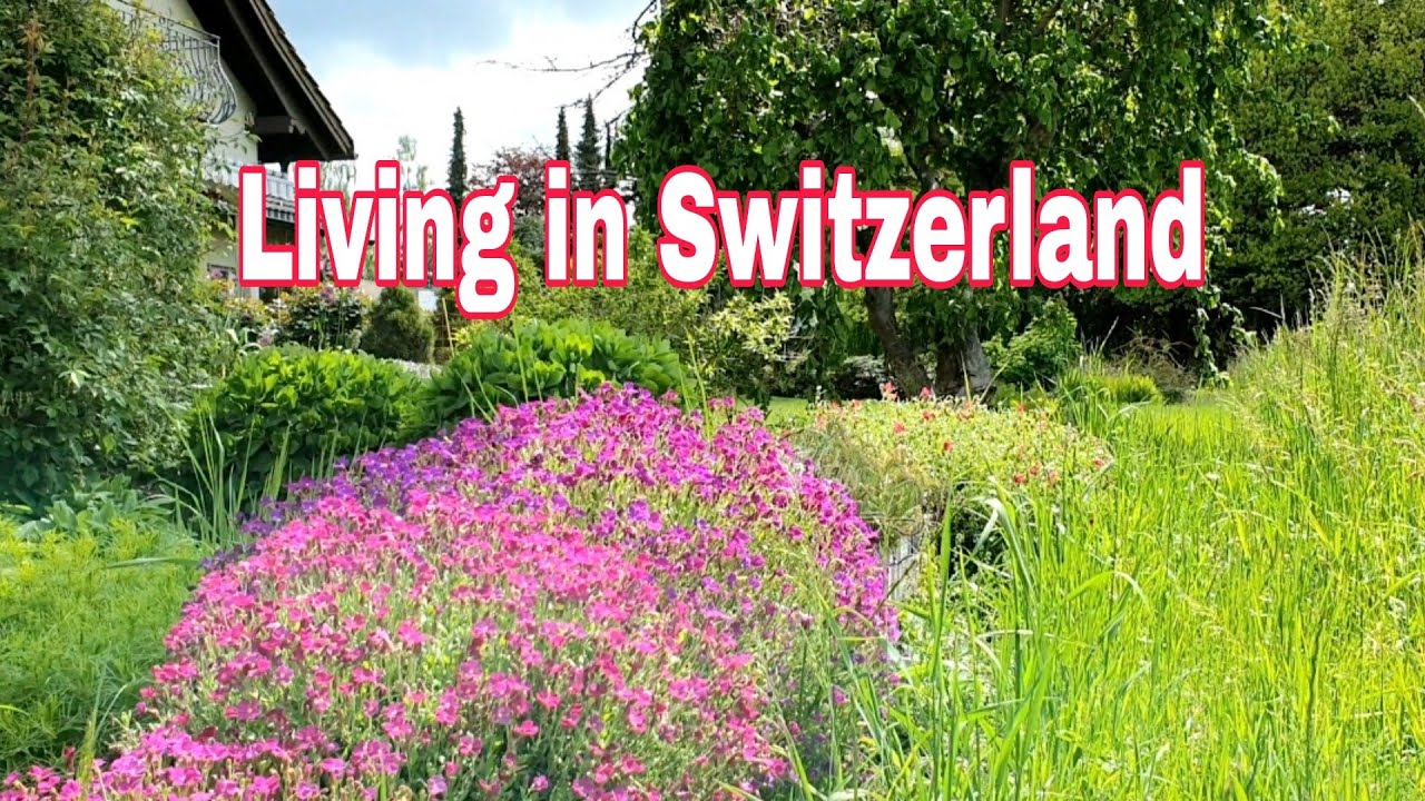 How beautiful living out from big city in Switzerland/Pfaffikon Zurich