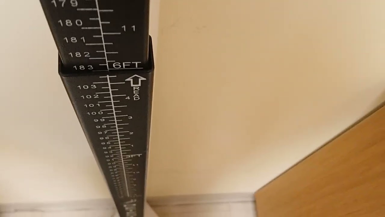 So how much did I grow? 3.5