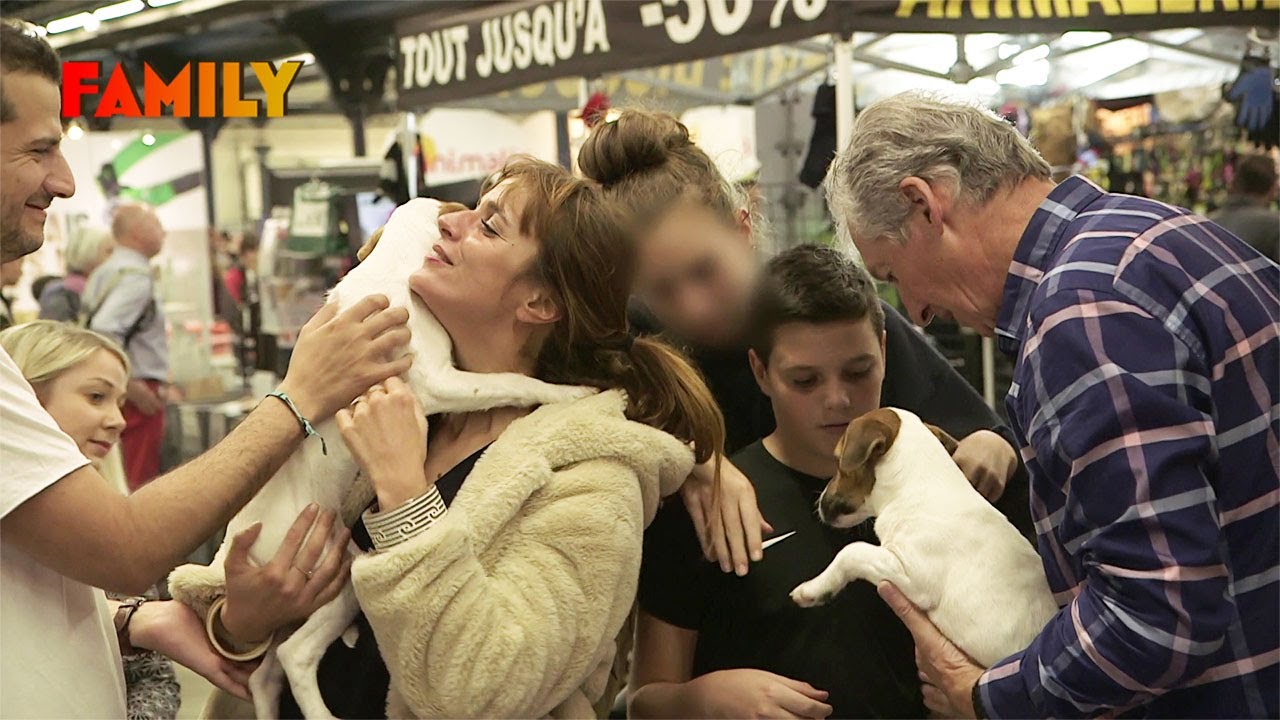 Ils transforment leurs animaux&hellip; en star de concours