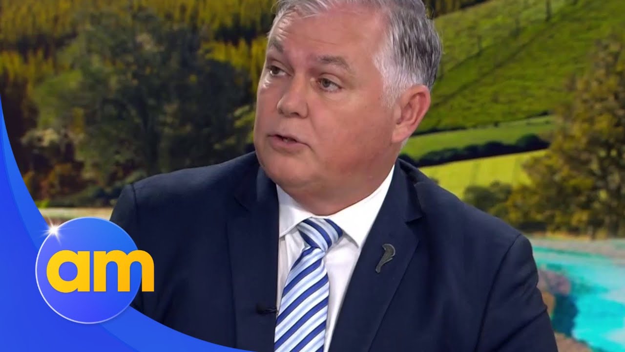 Why National would push ahead with three strikes rule in crime crackdown | AM