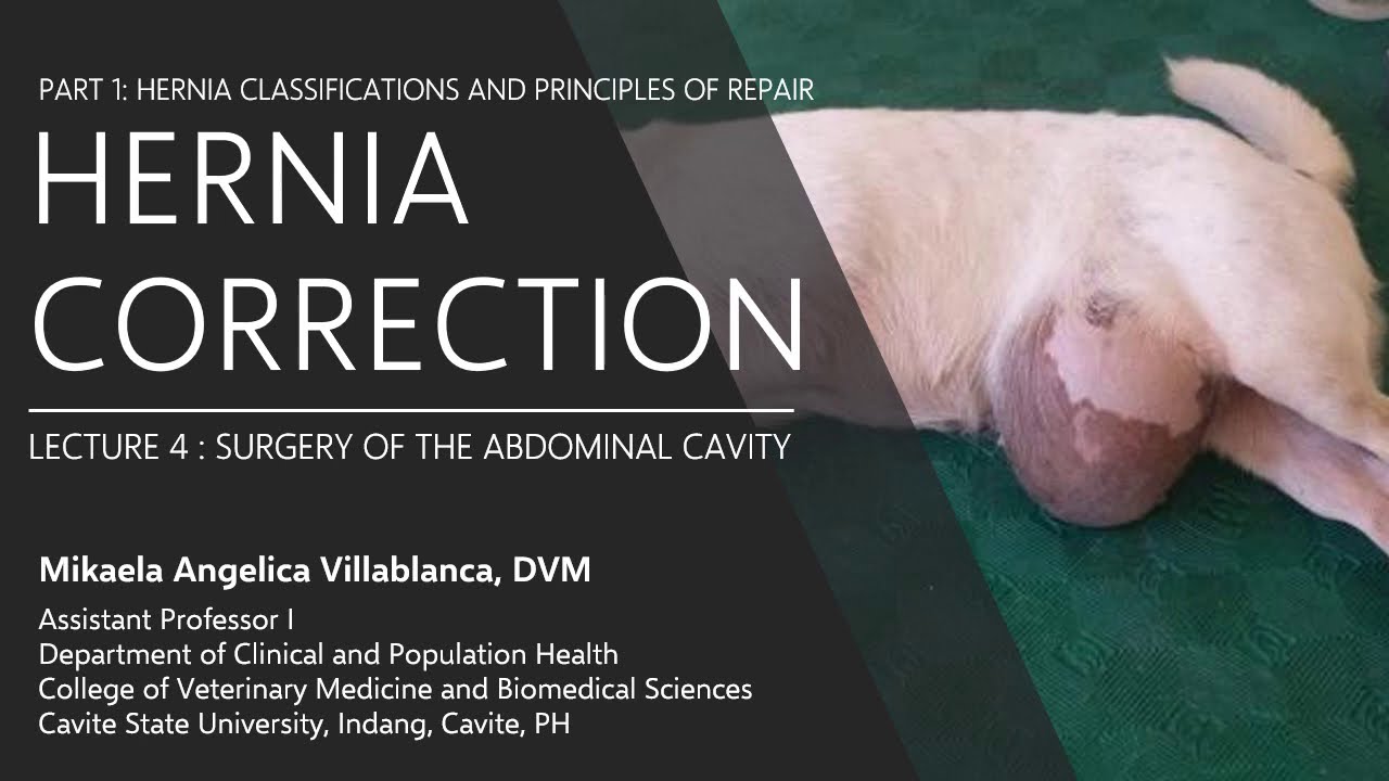Lecture 4.8  Hernia Classifications and Principles of Repair