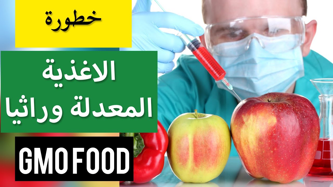 الاغذية المعدلة وراثيا - الجبنة - الانسولين - هل الاغذية المعدلة وراثيا تسبب السرطان