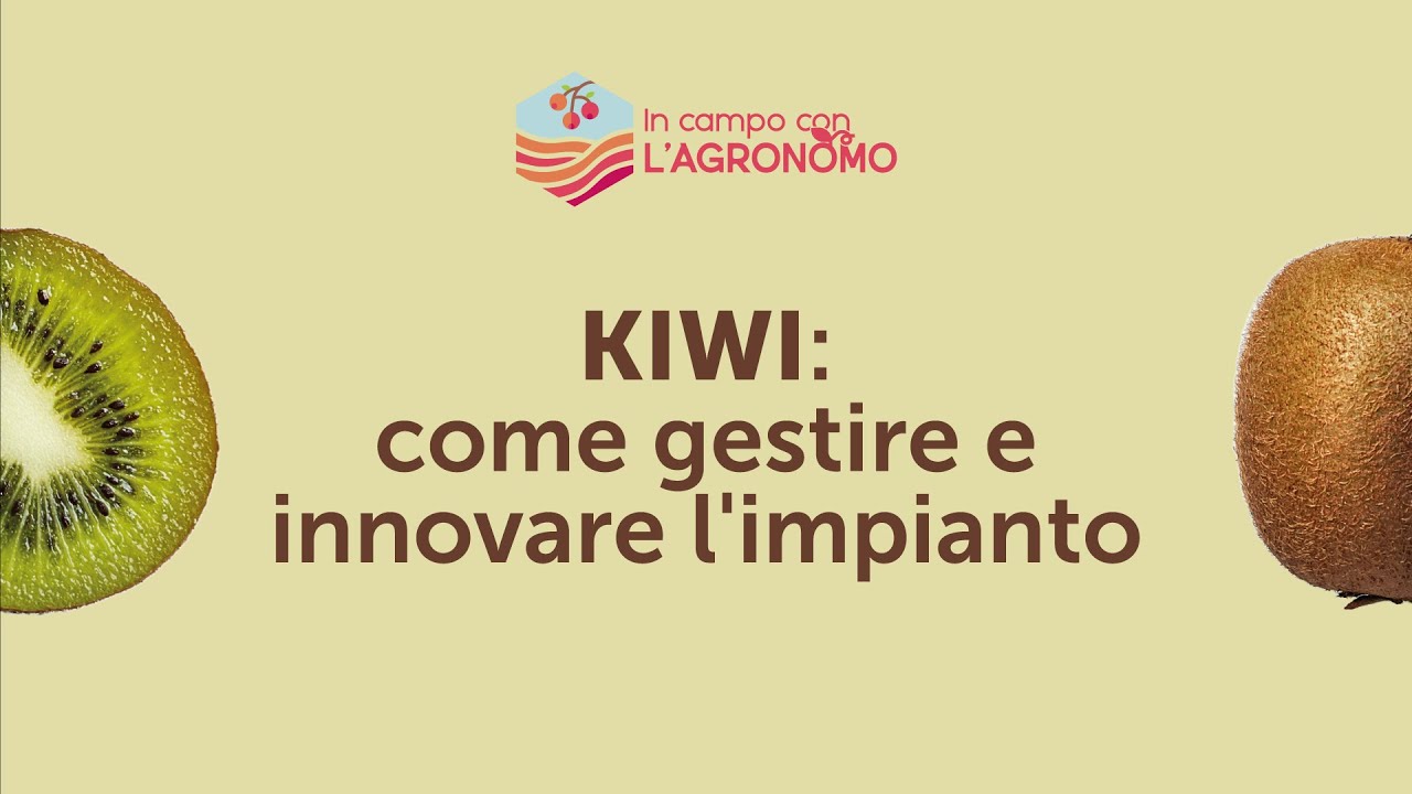 In campo con l'agronomo - "Kiwi: come gestire e innovare l'impianto"