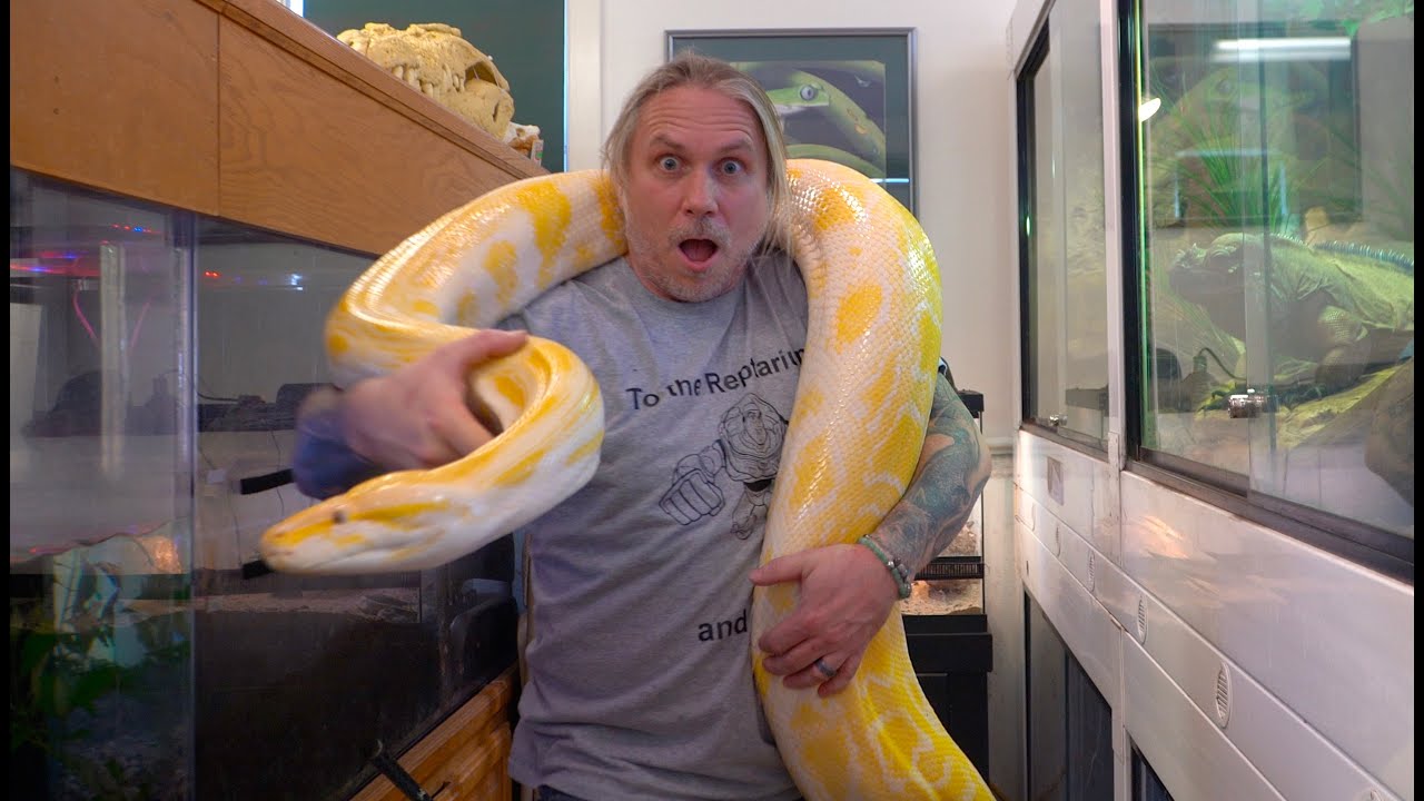 IS THIS THE LARGEST BURMESE PYTHON IN THE WORLD?? | BRIAN BARCZYK
