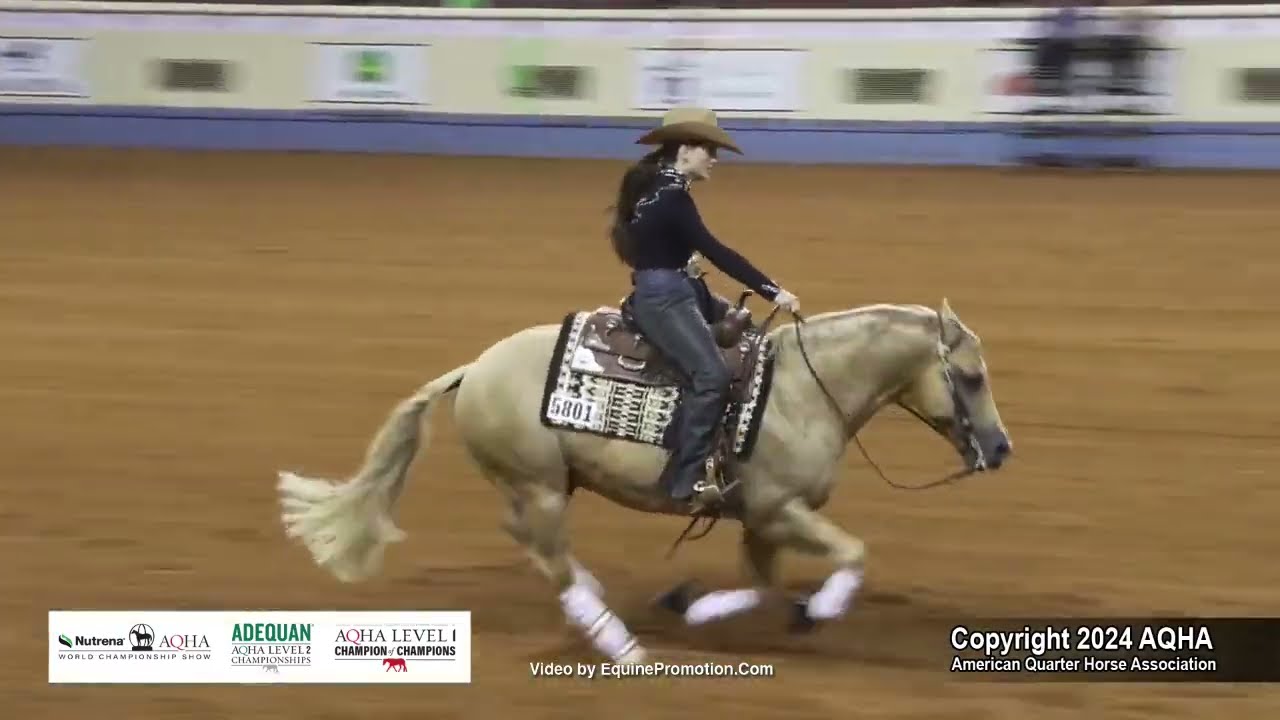 Amateur Reining - 2024 AQHA World Championship Show