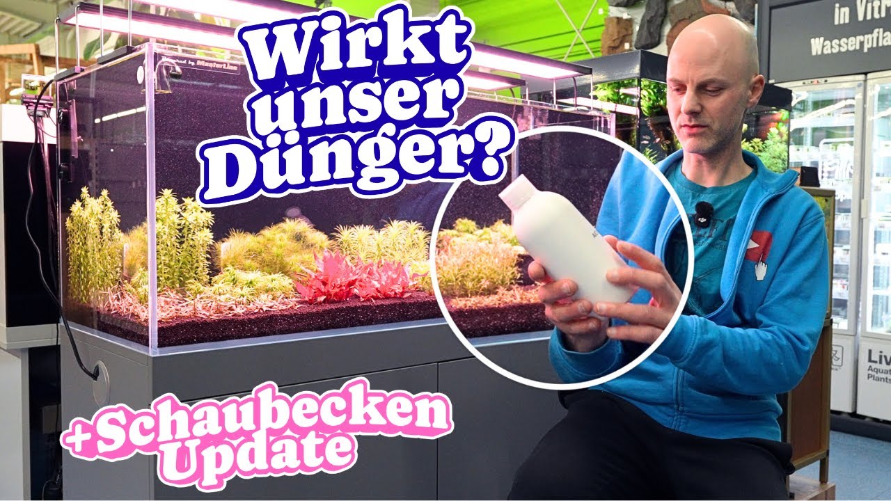 Unser eigener Aquarien-D&uuml;nger im Test &ndash; Zwischenstand & Schaubecken