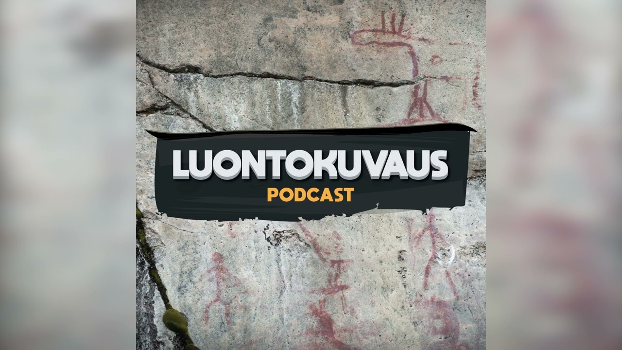 Luontokuvaus podcast - P&ouml;ll&ouml;jen kuvaaminen