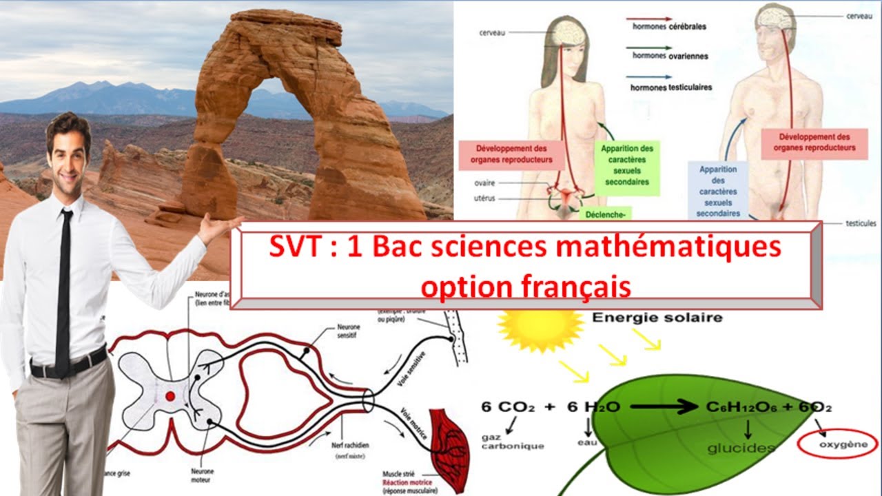SVT 1 Bac sciences math&eacute;matiques option fran&ccedil;ais