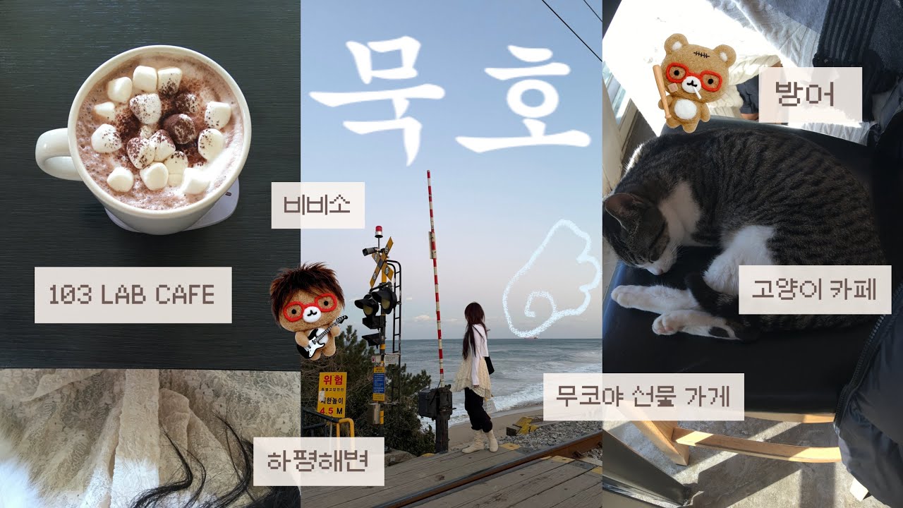 Vlog 🎀 1박 2일 묵호 여행 브이로그 🪼 [ 리페어 커피, 비비소, 103 LAB CAFE, 고양이 카페, 청해수산, 하평해변, 기찻길, 현상소 ]