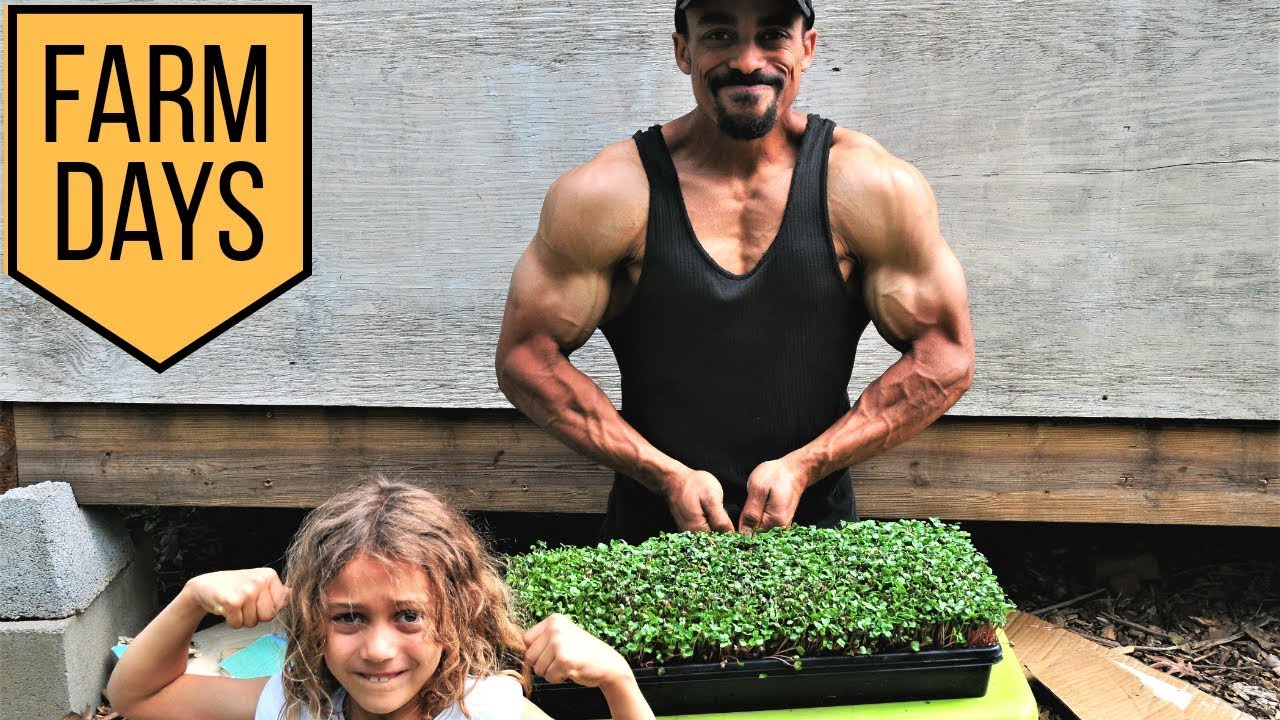Plant Power!! /// FARM DAYS @ BIG POND FARM