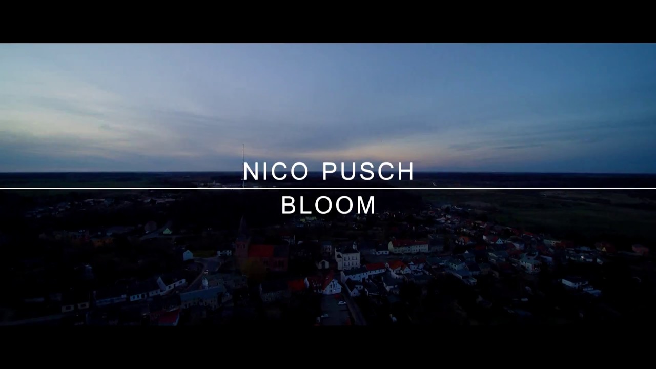 Nico Pusch Bloom